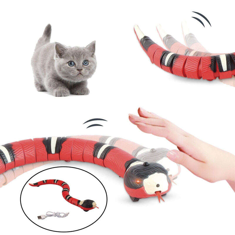 Brinquedo Para Gato Cobra Inteligente Sensory Lemon Store 